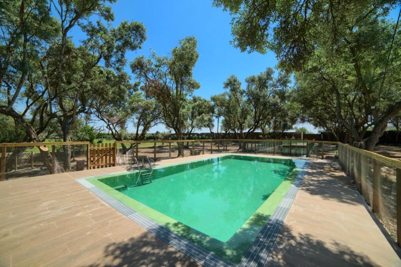 Finca Olivar De La Bardena Pensionat Tudela Exteriör bild