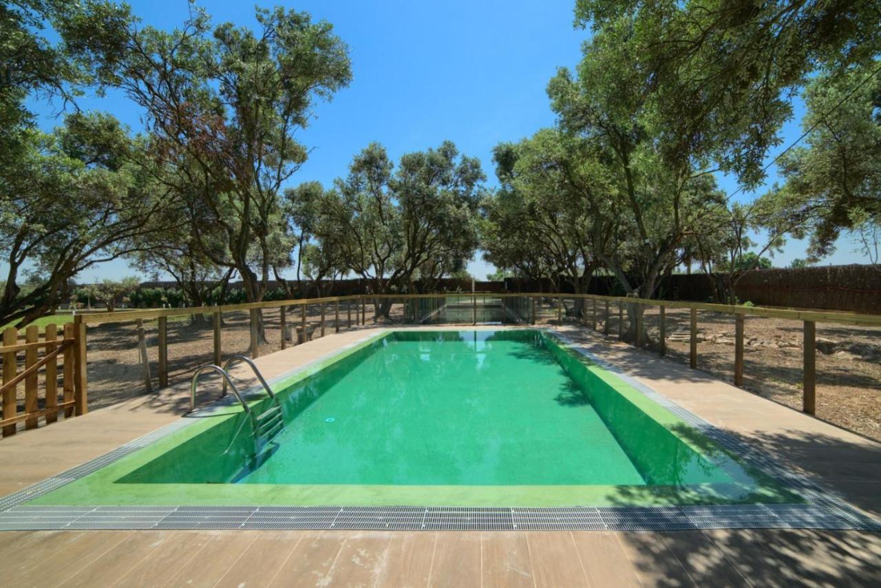 Finca Olivar De La Bardena Pensionat Tudela Exteriör bild